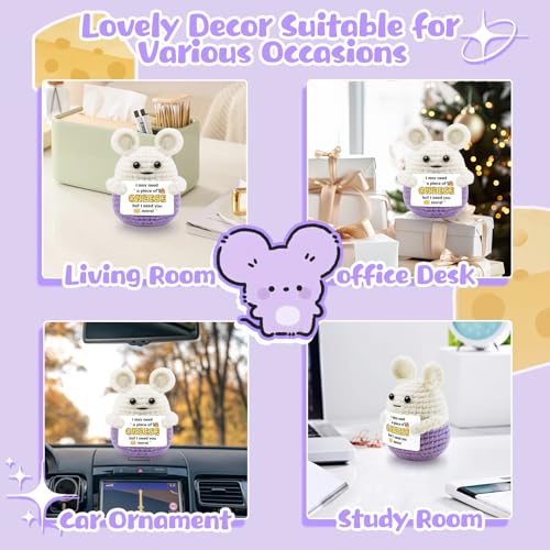 AICHPVOY Purple Mouse Crochet Gift - Funny Birthday Decor for Women & Men