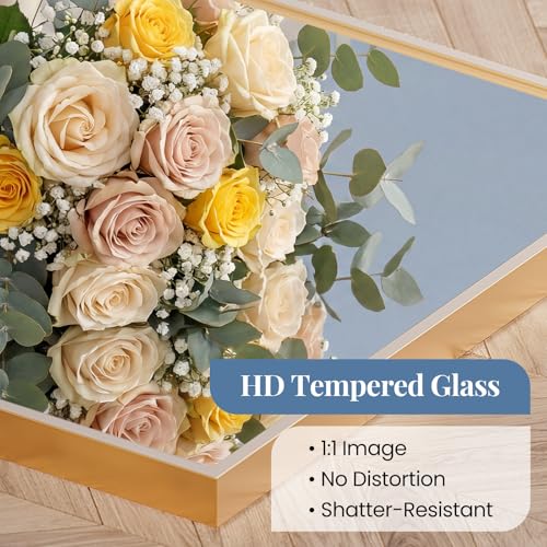 30x48 Inch Rectangular Wall Mirror, Brushed Gold Metal Frame Vanity Mirror