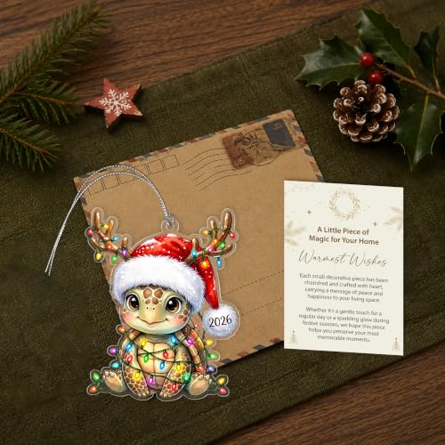 Mailamcraft Sea Turtle Santa Ornament 2026 – Funny Christmas Decorations for Women