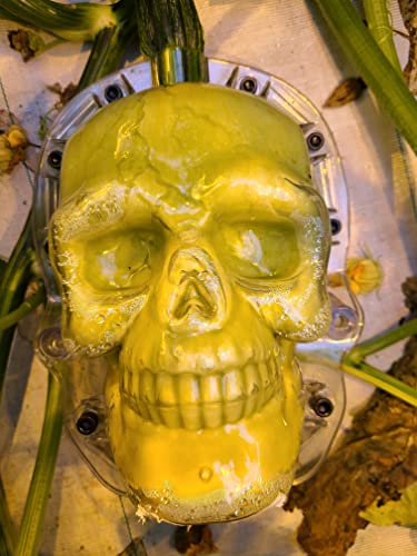 Skull-Shaped Pumpkin Growing Mold for Halloween Gardening