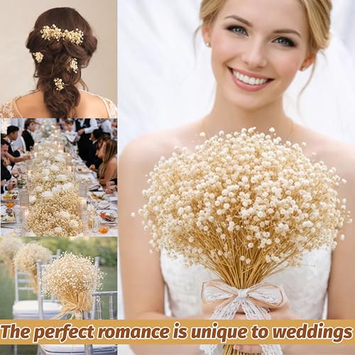 Dried Baby's Breath Flowers, 17-Inch Natural Ivory White Gypsophila Bouquet
