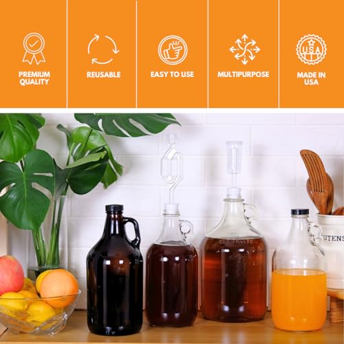 0.5 Gallon Glass Jugs with Polyseal Caps 2 Pack Clear Growlers