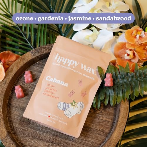 Natural Soy Wax Melts Variety Pack - Hotel Inspired Scented Bear Melts, 6oz