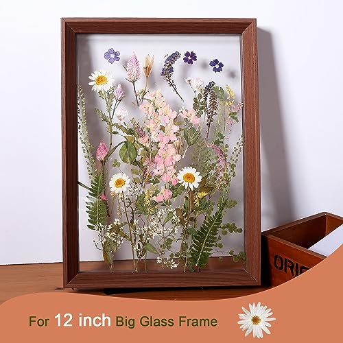Large Natural Dried Pressed Flowers Set (50+ Pcs) for DIY Crafts & Resin