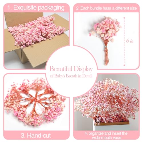 Mini Pink Dried Baby's Breath Flowers, 6-Inch Preserved Gypsophila (70 Stems)