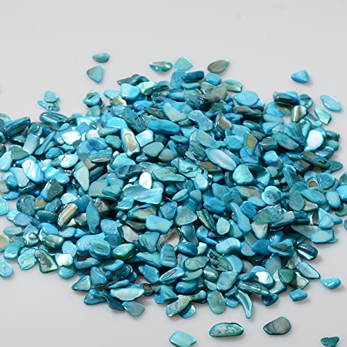 Natural Crushed Shell Chips for Crafts & Vase Fillers - Light Blue (1 lb)