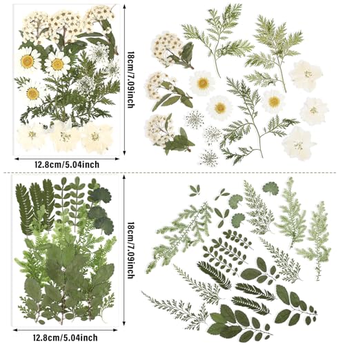 Natural Dried Pressed Flowers Set with Tweezers for Epoxy Resin Crafts (68 Pcs)