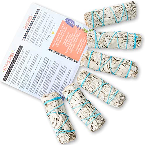 White Sage Smudge Sticks 12-Pack for Energy Cleansing and Home Purification