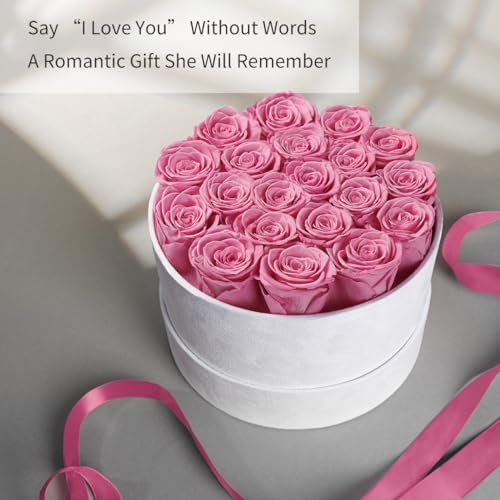 20 Preserved Real Roses in Luxury Velvet Gift Box - Long Lasting Flowers