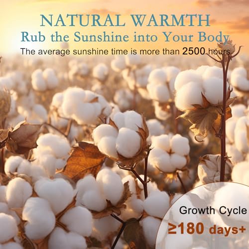 Lightweight Wool Comforter Queen Size - Thin Duvet Insert for Hot Sleepers