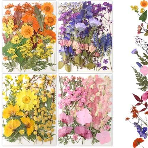 80pcs Natural Pressed Dried Flowers for Resin Art, Nail Art, and DIY Crafts
