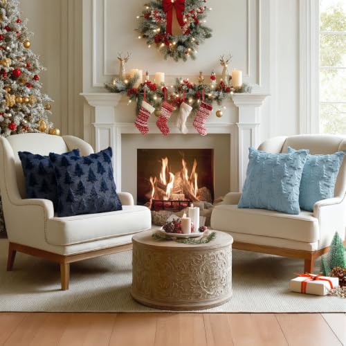 MIULEE 18x18 Navy Blue Christmas Pillow Covers Set of 2 Holiday Decor