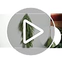28-Inch Faux Norfolk Pine Christmas Teardrop Door Swags - Set of 2