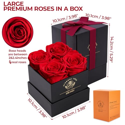 Preserved Real Rose in Gift Box - Long-Lasting Eternal Flower for Her