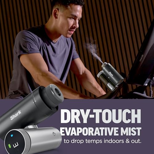2-in-1 Personal Fan and Dry-Touch Mist, Rose Gold