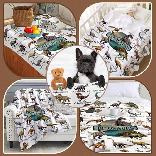 Aniruddha Dinosaur Blanket for Kids Queen Size 60"x80" - Boys & Girls Gift