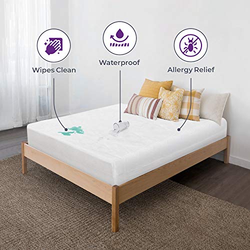 BLISSFORD Zippered Waterproof Vinyl Mattress Protector - Queen Encasement