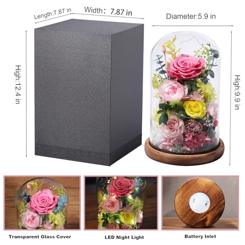 Preserved Pink Rose in Glass Dome with LED Lights for Romantic Gifts