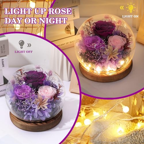 Preserved Eternal Rose in Glass Dome - Real Purple Flower with Wood Base