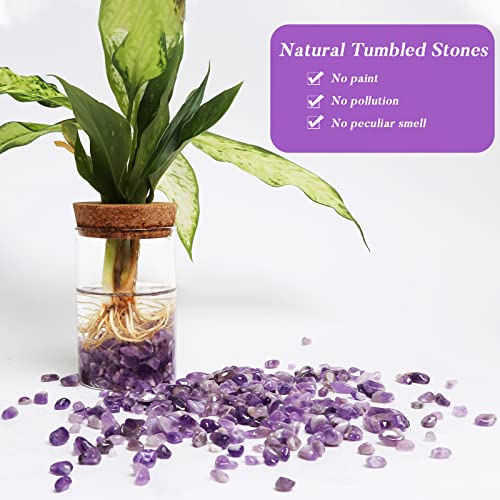 Natural Polished Tumbled Crystal Chips and Gem Stones for Healing and Crafts