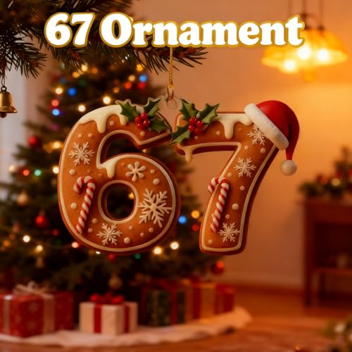 MYSQIHO 3-Pack 67 Meme Funny Christmas Ornaments - Santa Acrylic Decorations for Tree (Variation C)