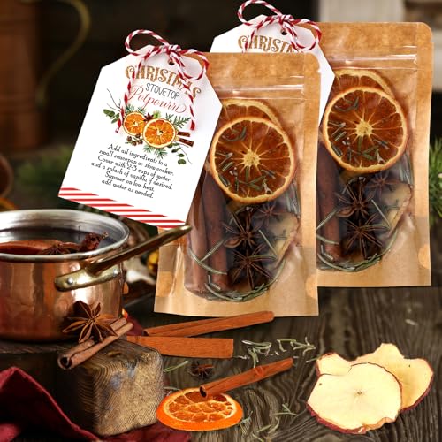 Christmas Simmer Pot Gift Set with Dried Fruits & Spices - 6 Pack
