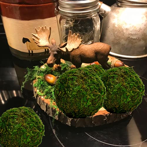 Natural Preserved Moss Decorative Balls, 3.5-Inch Set of 6