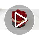 7 Preserved Rose Gift Box - Eternal Flowers That Last Up to 3 Years