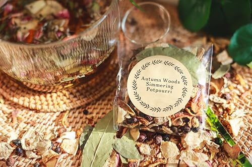 Stove Top Simmering Potpourri Kit - 10 All-Natural Dried Fruit & Spice Blends