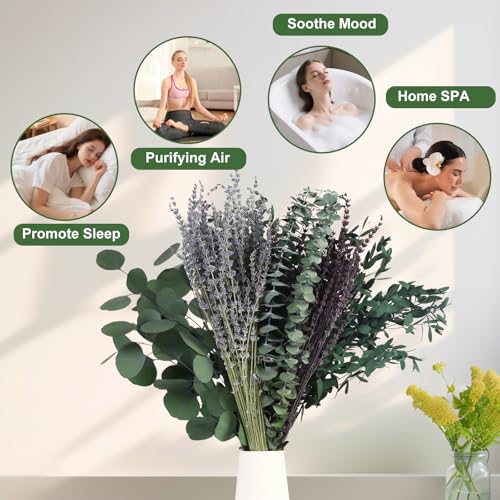 120 Pcs Preserved Dried Eucalyptus Stems & Lavender Flowers for Shower & Decor