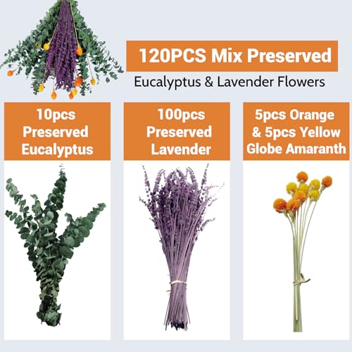 120-Piece Dried Eucalyptus and Lavender Bouquet for Shower Home Decor