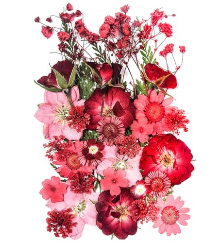 37 Pcs Natural Red Dried Pressed Flowers for Resin Molds & DIY Crafts