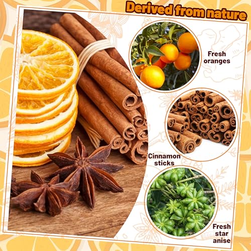Natural Stovetop Simmer Pot Kit - Dried Orange, Cinnamon & Star Anise