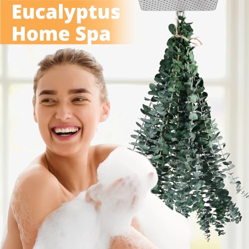 12-Pack Real Preserved Eucalyptus Stems (17") for Shower & Home Decor