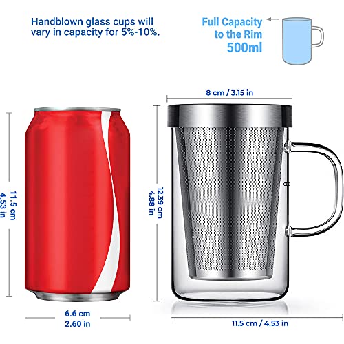 ecooe Silver 16.9oz Glass Tea Cup with Infuser & Lid, 430ml Capacity