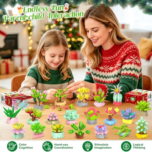 KOSWAT Succulent Building Blocks Advent Calendar 24-Day Kids & Adults Gift