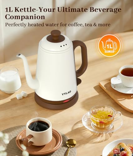 1L Gooseneck Electric Kettle, Stainless Steel Pour-Over Coffee Tea Pot
