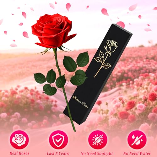 Single Preserved Red Rose in Luxury Gift Box - Real Forever Rose