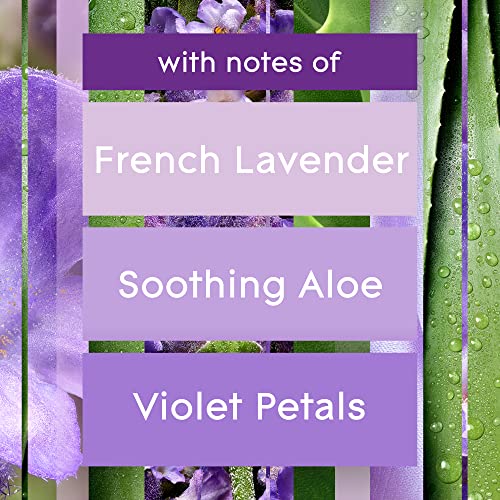 Glade PlugIns Refills Air Freshener, Scented and Essential Oils for Home and Bathroom, Tranquil Lavender & Aloe, 1.34 Oz, 12 Count