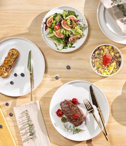 TheTerra Ceramic Dinnerware Set for 4 - 12-Piece Bright White, 10.25" Plates