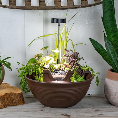 Tabletop Water Garden Fountain Kit with LED Lights - Mocha