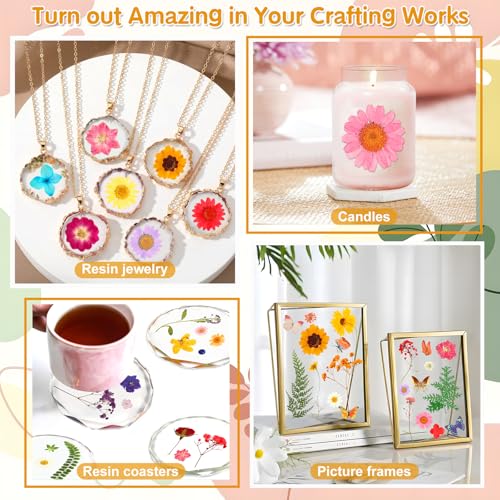 235 Pcs Pressed Dried Flowers and Resin Butterfly Stickers Set for Crafts