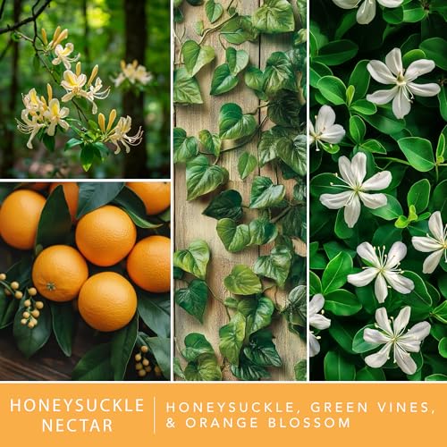 Honeysuckle Nectar Scented Wax Melts - 24 Long-Lasting Fragrance Cubes