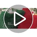 ANRODUO Christmas Grinch Green Faux Fur Pillow Covers 20x20 inch - Pack of 2