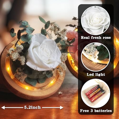 Preserved White Rose in Glass Dome with LED Lights - Romantic Gift for Her