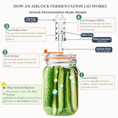 Glass Fermentation Jar Kit 1.5L 2 Pack with Airlock and Weights