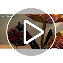 3-Tier Metal Lotus Tabletop Water Fountain with Color-Changing LED