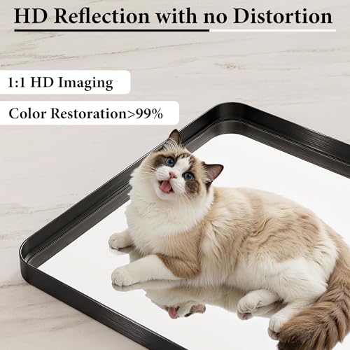 30x36 Inch Matte Black Bathroom Wall Mirror, Shatterproof Tempered Glass