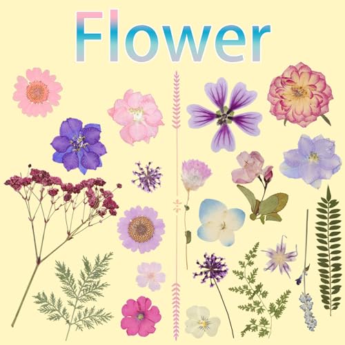 50-Piece Real Dried Pressed Flowers Kit with Tweezers for Resin Crafting