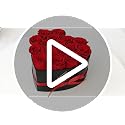 16 Preserved Roses in Heart-Shaped Gift Box - Real Eternal Flowers for Her